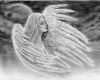 Engel Zeichnen Vorlagen Schön Lerne Einen Engel Mit Flügeln Zu Zeichnen