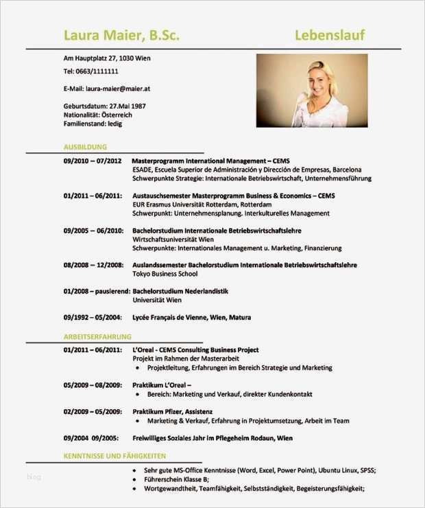 Englischer Cv Vorlage Beste "resume" "curriculum Vitae" Oder Stinknormaler Lebenslauf