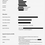 Englischer Cv Vorlage Süß Berufserfahrener Pdf Der Englische Muster Cv Gibt Dem