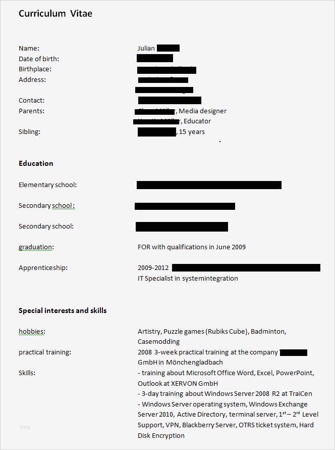 Englischer Cv Vorlage Süß Berufserfahrener Pdf Der Englische Muster Cv Gibt Dem