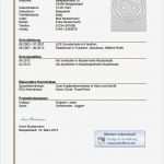 Entschuldigung Berufsschule Vorlage Erstaunlich Charmant Entschuldigung formular Vorlage Bilder Entry