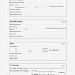 Entschuldigung Vorlage Süß Erfreut Entschuldigung Vorlage Fotos Entry Level Resume