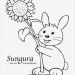 Entschuldigung Vorlage Zum Ausdrucken Genial Sungura Zum Ausmalen