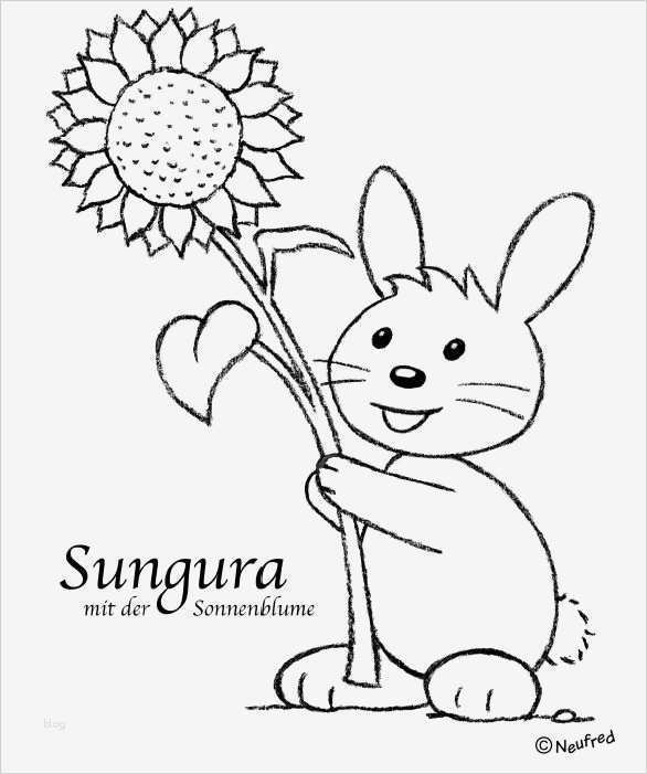 Entschuldigung Vorlage Zum Ausdrucken Genial Sungura Zum Ausmalen