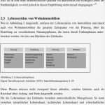 Entsorgungskonzept Vorlage Süß Gemütlich Ausschreibung Bewertungsvorlage Galerie Entry