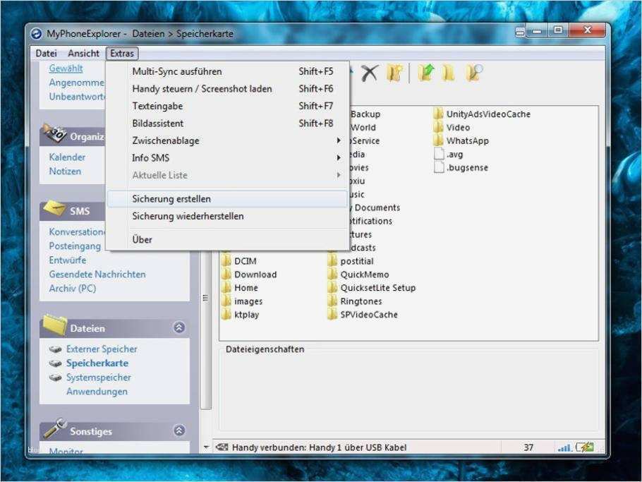 Entwicklungsberichte Vorlagen Bewundernswert Fotocollagen Am Pc Erstellen Picasa 2 Foto Cds Und