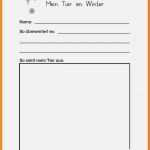 Entwicklungsdokumentation Kindergarten Vorlage Genial Gemütlich Kindergarten Bericht Kartenvorlage Galerie