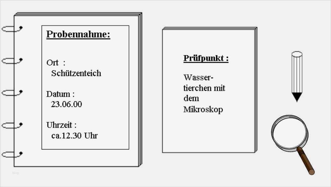 Ergebnistabelle Vorlage Süß Charmant Zeitplan Probe Zeitgenössisch Bilder Für Das