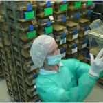 Erlaubnis Hundehaltung Mietwohnung Vorlage Luxus Fantastisch Tierhaltung Lebenslauf Fotos Bilder Für Das