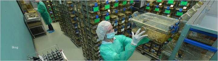 Erlaubnis Hundehaltung Mietwohnung Vorlage Luxus Fantastisch Tierhaltung Lebenslauf Fotos Bilder Für Das