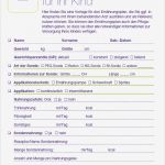 Ernährungsplan Vorlage Best Of Mein Kind ist Besonders Ernährungsplan