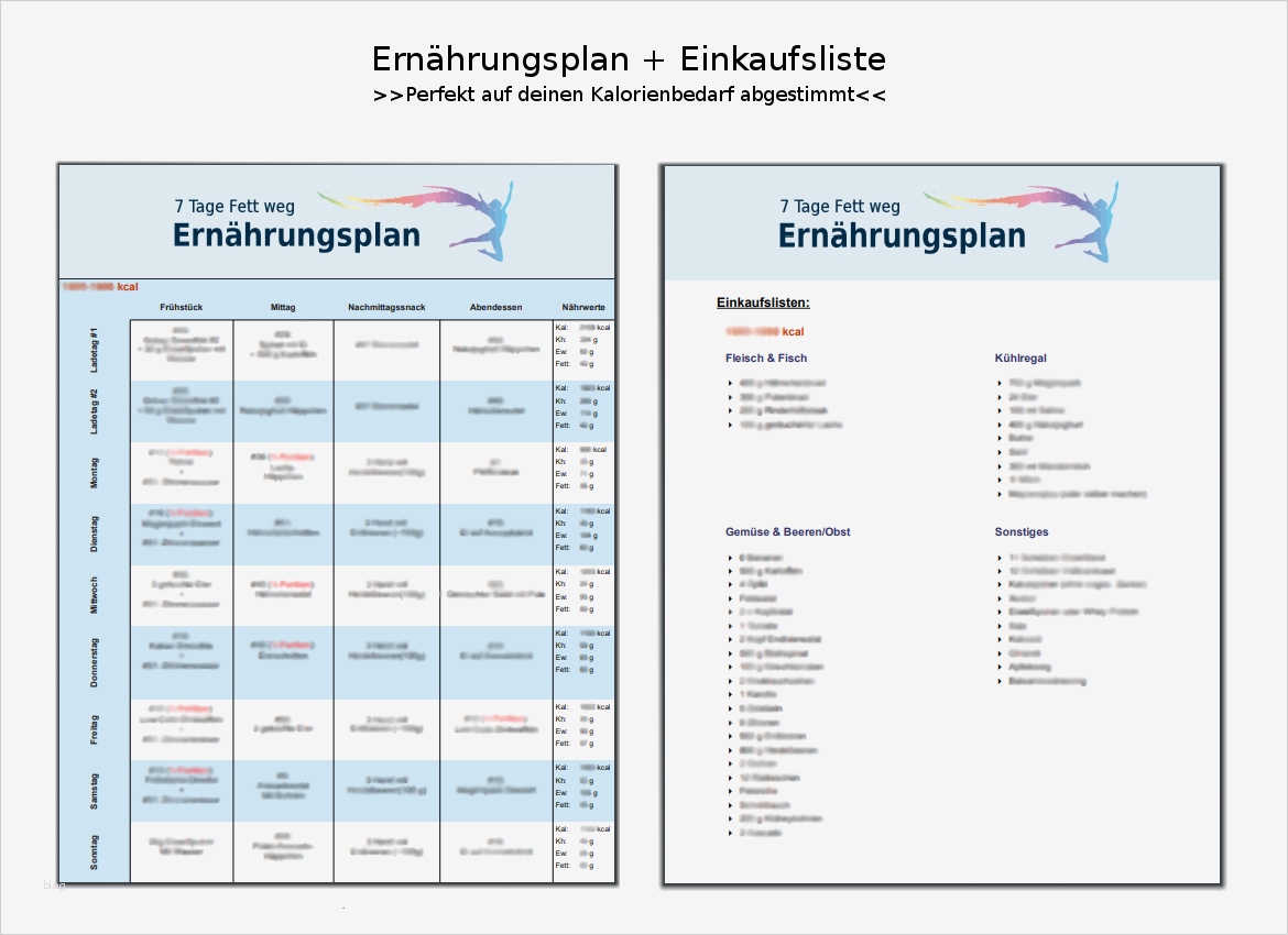 Ernährungsplan Vorlage Erstaunlich Ernährungsplan En 10 Kg Gewichtsverlust In 4