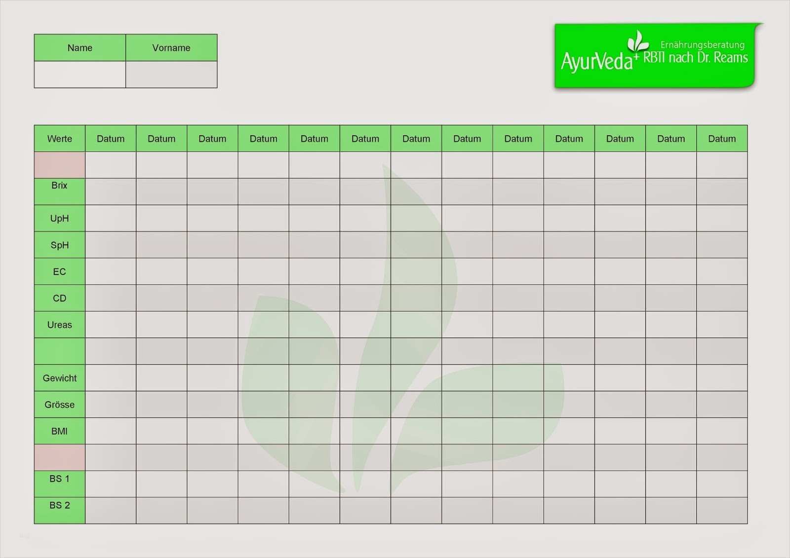 Ernährungsplan Vorlage Excel Erstaunlich Ausgezeichnet Ernährungsplan Vorlage Ideen Ideen