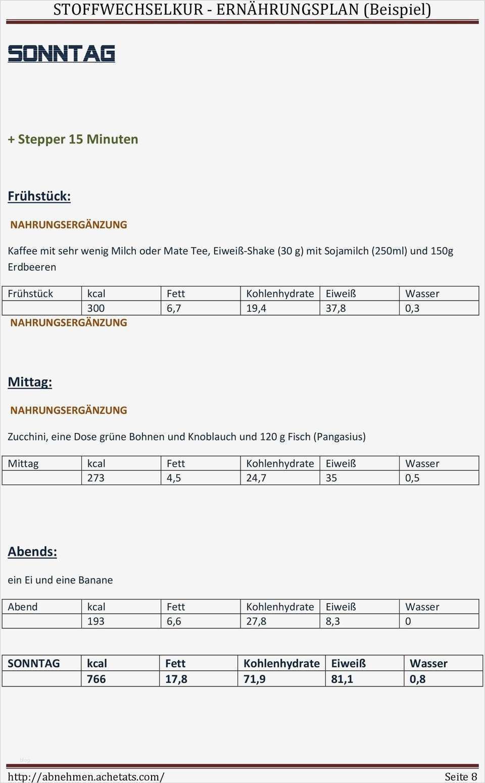 Ernährungsplan Vorlage Pdf Erstaunlich Ausgezeichnet Ernährungsplan Vorlage Ideen Ideen