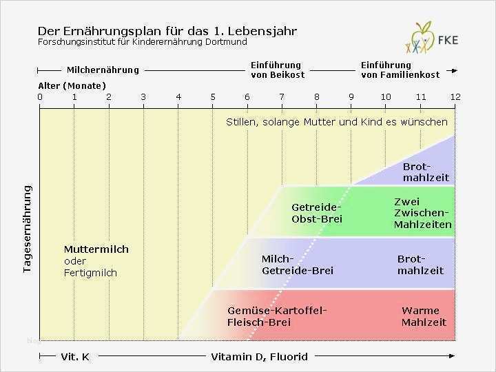 Ernährungsplan Vorlage Pdf Genial Kinder Und Jugendarzt Dr Rüdiger Mende