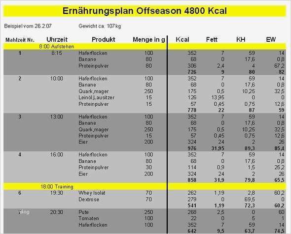 Ernährungsplan Vorlage Pdf Genial Rezept Backofen Ernährungsplan Für Gesunde Ernährung