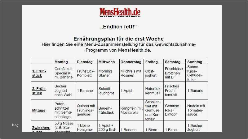 Ernährungsplan Vorlage Pdf Großartig Ernährungsplan Für Anfänger
