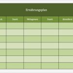 Ernährungstagebuch Vorlage Schön Ernährungsplan Oder Ernährungstagebuch Erstellen