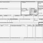 Erstmusterprüfbericht Vda Vorlage Excel Hübsch Schön Lieferschein Ideen Bilder Für Das Lebenslauf