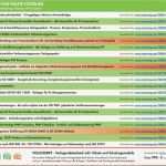 Erstmusterprüfbericht Vorlage Großartig Vorschau Pdf Projektstrukturplan Inkl Anwendertipps