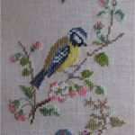 Eule Kreuzstich Vorlage Beste Die Besten 25 Kreuzstich Vogel Ideen Auf Pinterest