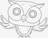 Eule Vorlage Zum Ausschneiden Erstaunlich Kostenlose Malvorlage Eulen Eule Zum Ausmalen Zum Ausmalen