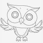 Eule Vorlage Zum Ausschneiden Erstaunlich Kostenlose Malvorlage Eulen Eule Zum Ausmalen Zum Ausmalen
