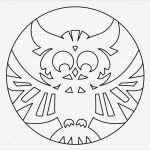 Eule Vorlage Zum Ausschneiden Neu Bastelvorlagen Für Herbst Mit Eule 17 Ideen Und Anleitung