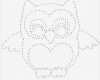 Eule Vorlage Zum Ausschneiden Schön Ausgezeichnet Eule Vorlage Ausschneiden Galerie Entry