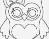 Eulen Basteln Vorlagen Zum Ausdrucken Elegant Basteln Vorlage Az Ausmalbilder 813×900