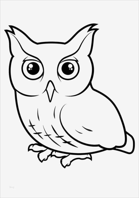 Eulen Basteln Vorlagen Zum Ausdrucken Erstaunlich Eule 11 Malvorlagen