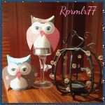 Eulen Basteln Vorlagen Zum Ausdrucken Inspiration Eule Vorlage Zum Ausschneiden