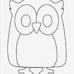 Eulen Basteln Vorlagen Zum Ausdrucken Neu Ausmalbilder Eule Malvorlagen Ausdrucken 1