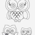 Eulen Basteln Vorlagen Zum Ausdrucken Wunderbar Eulen Malvorlagen Ausdrucken Schöne Ausmalbilder