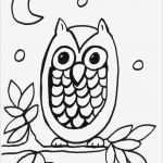 Eulen Basteln Vorlagen Zum Ausdrucken Wunderbar Kostenlose Malvorlage Eulen Eule In Der Nacht Zum Ausmalen