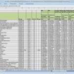 Excel Datenbank Vorlage Erstaunlich Großzügig Microsoft Excel Datenbank Vorlage Bilder Ideen