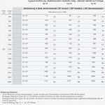 Excel Vorlage Industrieminuten Großartig Nett Zeitrechner Excel Vorlage Fotos Entry Level Resume