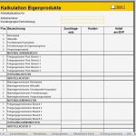 Excel Vorlagen Handwerk Kalkulation Kostenlos Elegant Kalkulation Von Eigenerzeugnissen Excel Vorlage Zum Download