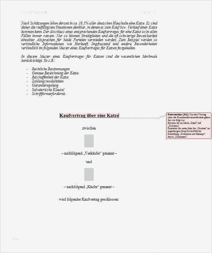 Expose Immobilien Vorlage Word Kostenlos Beste Kaufvertrag Haus Muster Kostenlos Word Vorlagen