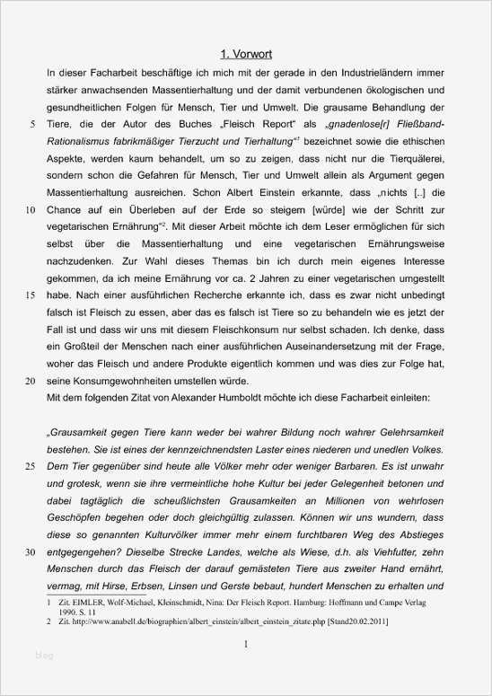 Facharbeit Vorlage Best Of Vorwort Hausarbeit Beispiel Essay Essay for You