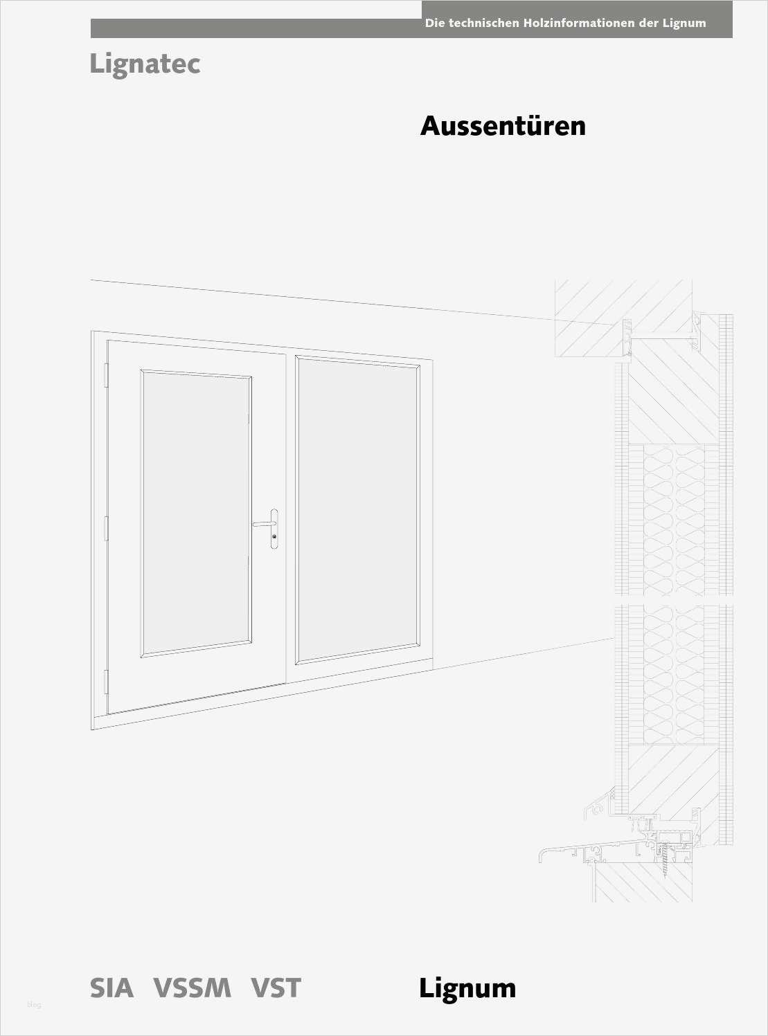 Fachberichte Metallbauer Vorlagen Angenehm Aussentüren by Lignum issuu