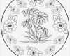 Fadengrafik Vorlagen Zum Ausdrucken Wunderbar Schön Einfache Mandala Malvorlagen Zum Ausdrucken Ideen