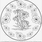 Fadengrafik Vorlagen Zum Drucken Best Of Schön Einfache Mandala Malvorlagen Zum Ausdrucken Ideen