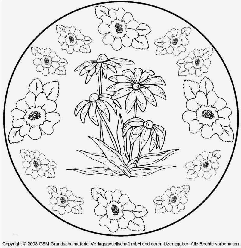 Fadengrafik Vorlagen Zum Drucken Best Of Schön Einfache Mandala Malvorlagen Zum Ausdrucken Ideen
