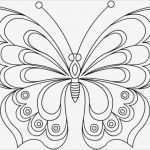 Fadengrafik Vorlagen Zum Drucken Bewundernswert Schmetterling Vorlage Malen Ausmalbilder Von Vorlage