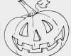 Fadengrafik Vorlagen Zum Drucken Schön Wunderbar Spiderman Kürbis Vorlagen Kostenlos Ideen