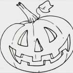 Fadengrafik Vorlagen Zum Drucken Schön Wunderbar Spiderman Kürbis Vorlagen Kostenlos Ideen