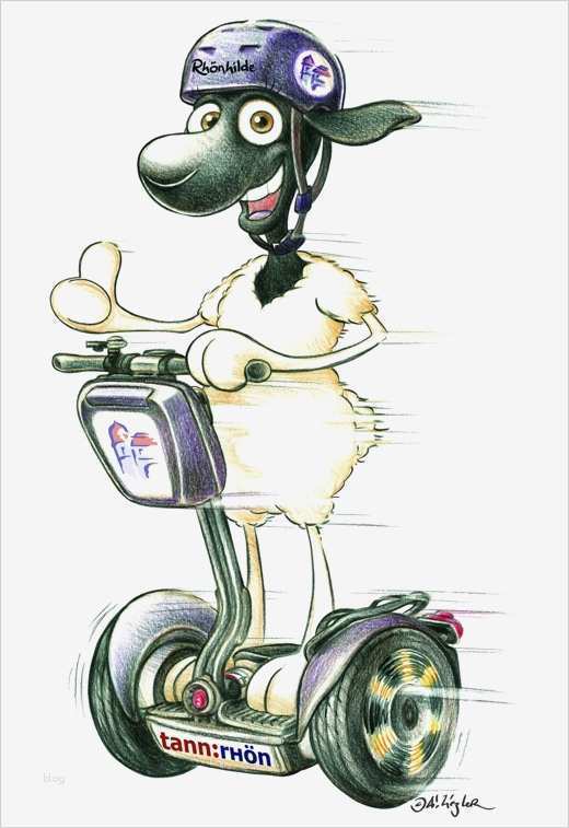 Fahrsicherheitstraining Gutschein Vorlage Schönste E Runner Fahren Tann Rhön Stadtbesichtigung