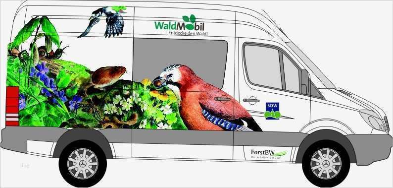 Fahrzeugbeschriftung Vorlagen Einzigartig Autobeschriftungen In Stuttgart