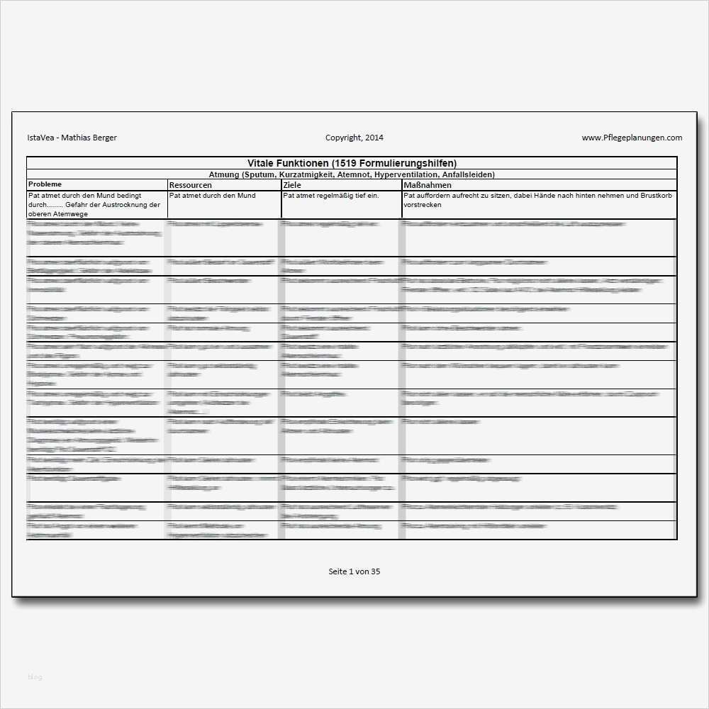 Fallbesprechung Pflege Vorlage Wunderbar Groß Pflegeplan Vorlagen Ideen Entry Level Resume